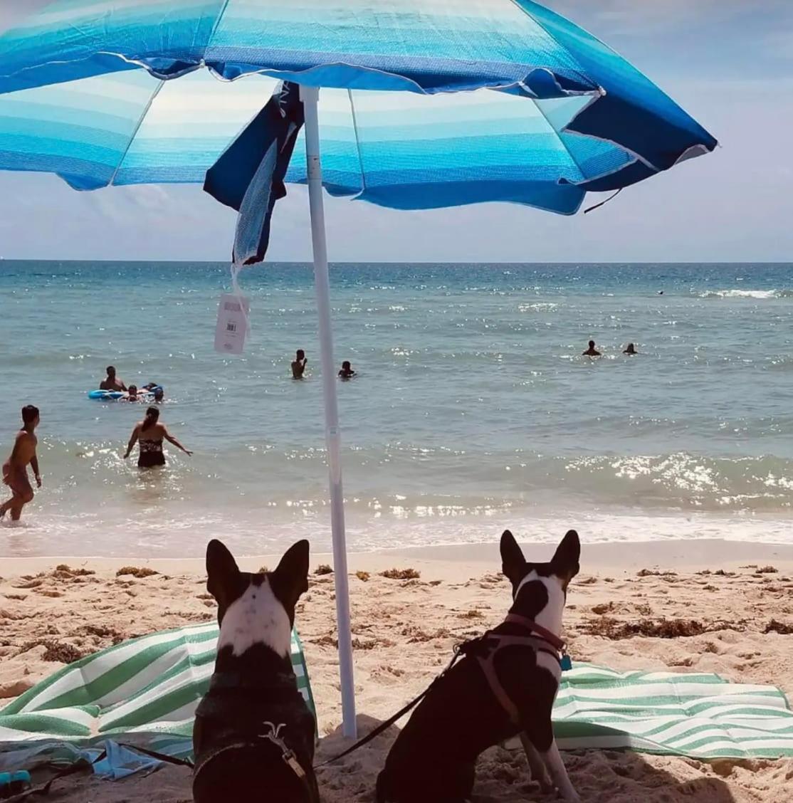 North Beach Steps To Sea Miami Apartment With Free Parking Family And Pet Friendly Miami Beach Exterior photo